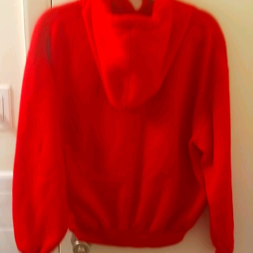 Sz L The North Face Pullover Hoodie - Picture 2 of 4